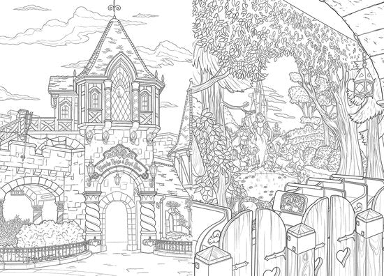 hachette heroes Disneyland Parijs Kleurboek - Voor volwassenen - 90 illustraties
