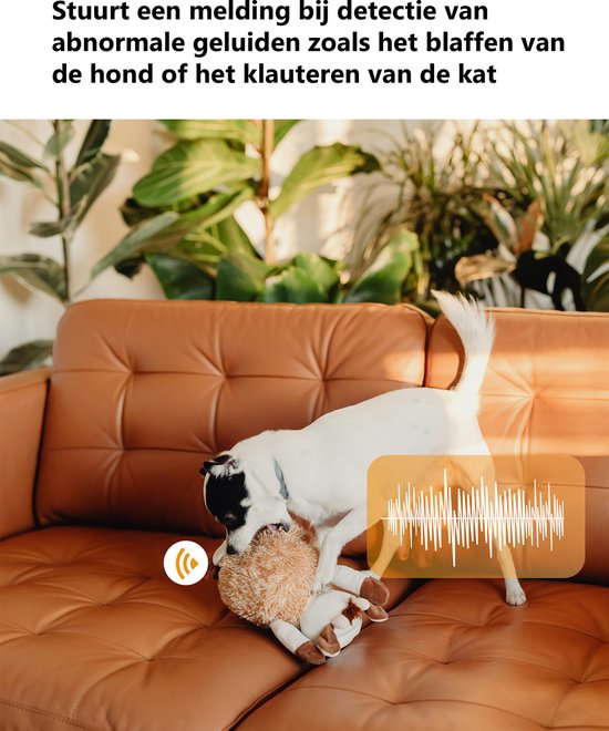 Imou Ranger Dual Petcam | Huisdiercamera | 3MP + 3MP lens