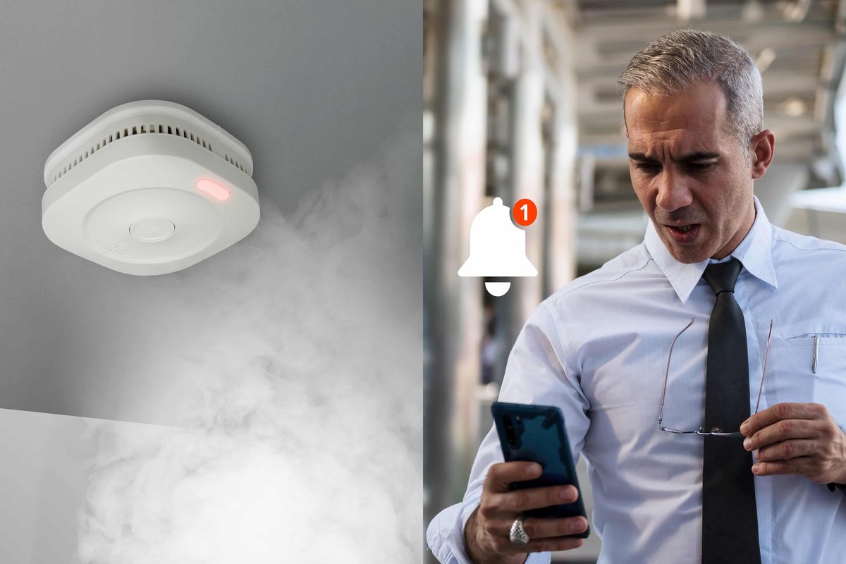 Alecto SMARTSMOKE11 Smart WiFi Rookmelder