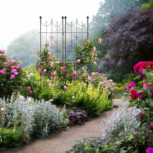 Plantenklimrek 183 x 46 cm set van 2k 183 x 46 cm set van 2