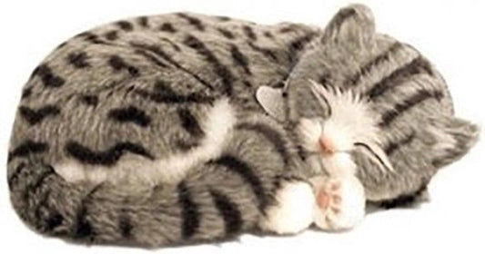Perfect petzzz Soft grey tabby