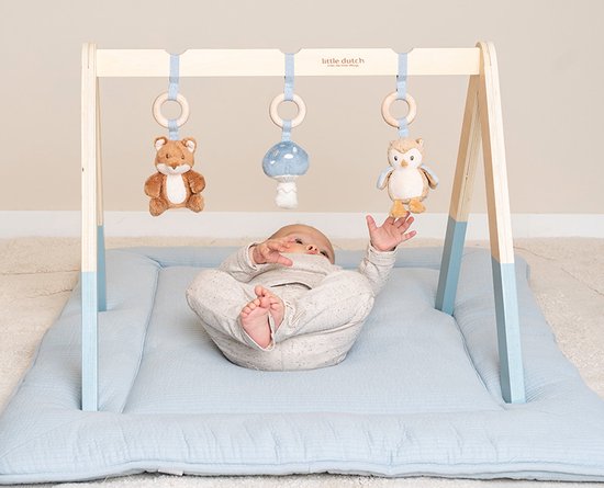 Little Dutch Babygym - Forest Friends