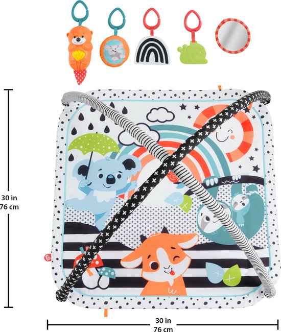 Fisher-Price Baby Muziek Gym 3 in 1 - Pasgeboren baby speelgoed