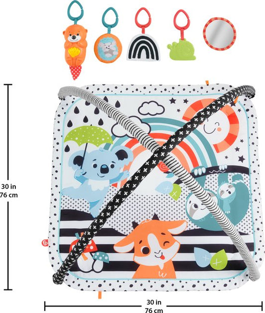 Fisher-Price Baby Muziek Gym 3 in 1 - Pasgeboren baby speelgoed