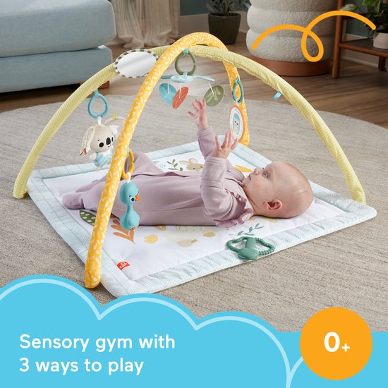 Fisher-Price Simply Senses gym voor baby's