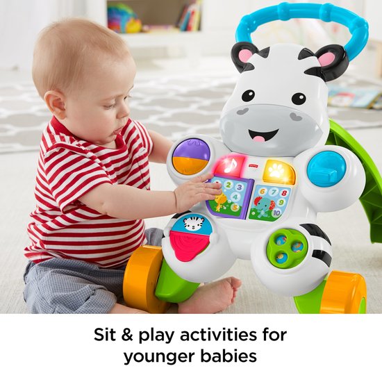 Fisher-Price Loop Met Mij Zebra - Looptrainer