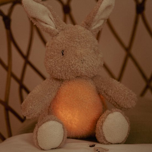 Little Dutch Newborn Naturals Knuffelkonijn Licht & Geluid
